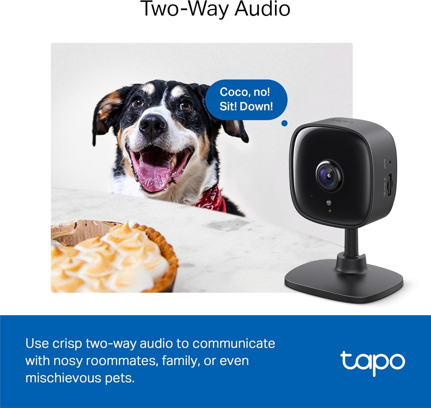 by  1080P Indoor Security Camera for Baby Monitor, Pet Camera W/Motion Detection, 2-Way Audio, Night Vision, Cloud & SD Card Storage, Works W/Alexa & Google Home, Black, C101